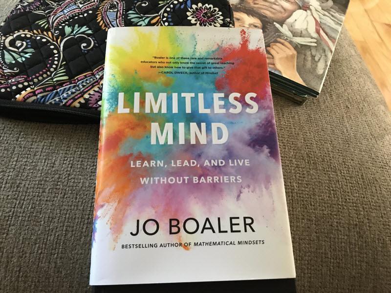 معرفی و چکیده کتاب ذهن نامحدود -یادگیری، رهبری و زندگی بدون مانع - نوشته جو بولر