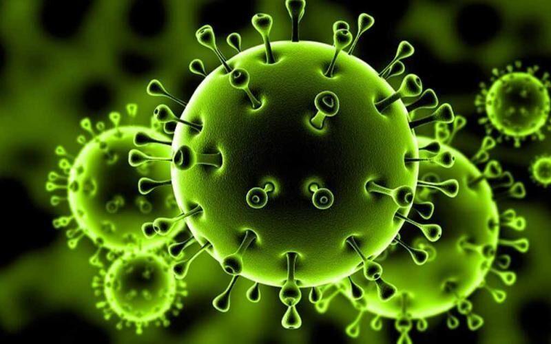 خبرنگاران کشف گونه ای از ویروس کرونا که عفونت کمتری ایجاد می کند