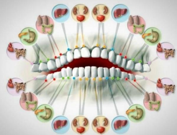 بیشتر کدام دندانتان درد می نماید؟ بخوانید تا علت را بدانید