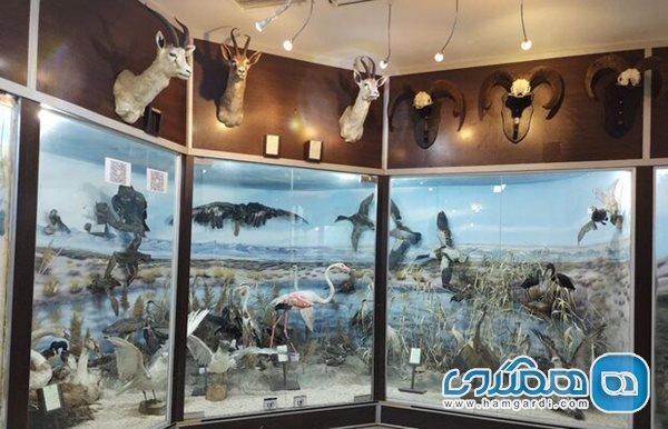 ساعت کاری موزه آثار طبیعی هفت چنار تغییر کرد