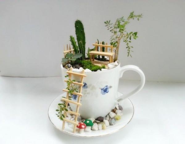 باغچه ای درون فنجان!