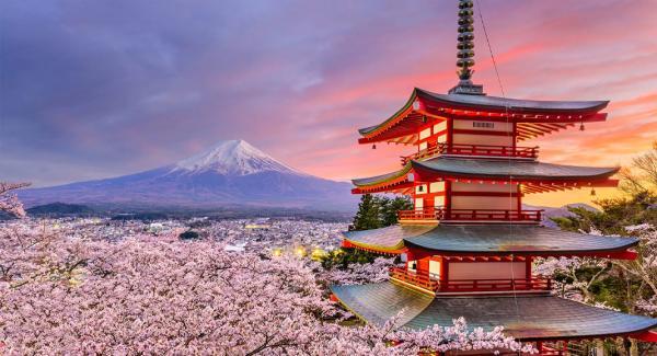هر آنچه باید درباره سفر به توکیو بدانید