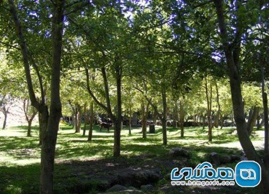 منطقه نمونه گردشگری سقزچی یکی از تفرجگاه های استان اردبیل است