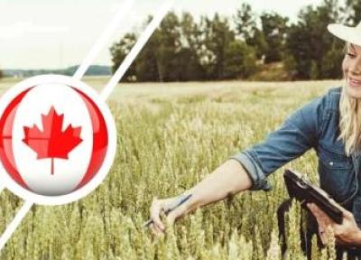 برنامه پایلوت کشاورزی و مواد غذایی کانادا
